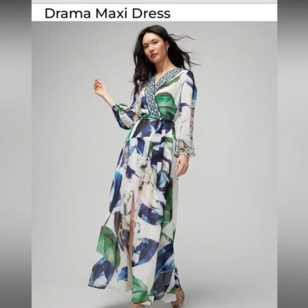 WHBM Floral Maxi Chiffon Elena Drama Dress - Size 8 - Long Sleeve Belted